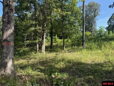 /international/us/267-cr-987-mountain-home-ar-110101124284/