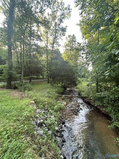 /international/us/3-9-acres-county-road-212-collinsville-al-110100382359/?lang=zh-tw