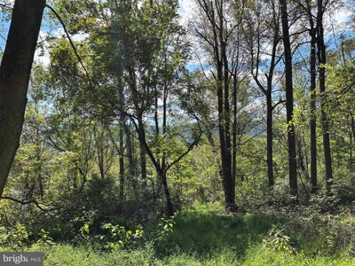 /international/us/harris-hollow-road-washington-va-110102652233/