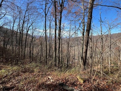 /international/us/falls-view-dr-lot-8-bryson-city-nc-110092029116/