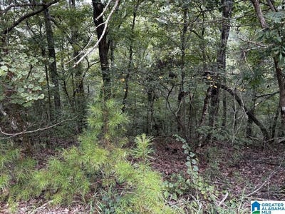 /international/us/63-acres-stanley-road-lot-0-brookwood-al-110119692070/
