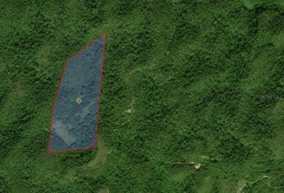 /international/us/rd-486-km-7-5-abra-honda-camuy-pr-110106950655/