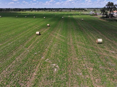 /international/us/state-farm-road-long-acreage-east-north-platte-ne-110102685998/