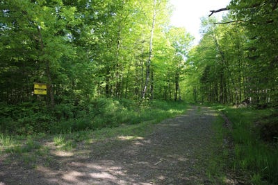 /international/us/konsella-road-gilman-wi-110101314979/?lang=zh-cn