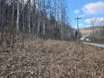 /international/us/mill-creek-fort-gay-wv-110100837972/