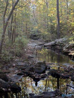 /international/us/lot-bear-creek-circle-oneonta-al-110100627295/?lang=zh-tw
