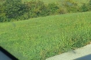/international/us/91-grandview-circle-lot-a27-flemingsburg-ky-110120064258/