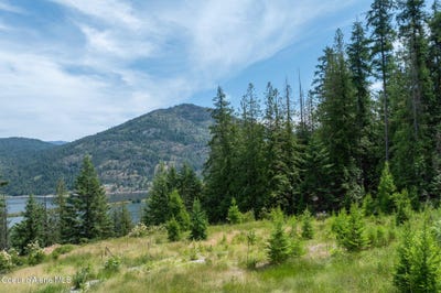 /international/us/161-finch-trail-sandpoint-id-110100420747/