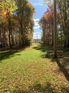 /international/us/braehead-road-kortright-ny-110100388525/
