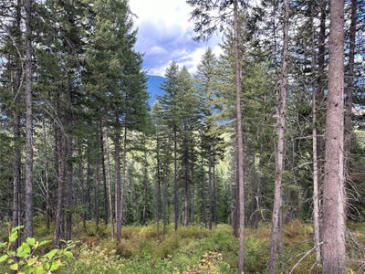 /international/us/nhn-mt-hwy-200-trout-creek-mt-110101338143/?lang=zh-tw
