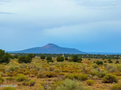 /international/us/2104-s-avondale-road-williams-az-110120486413/