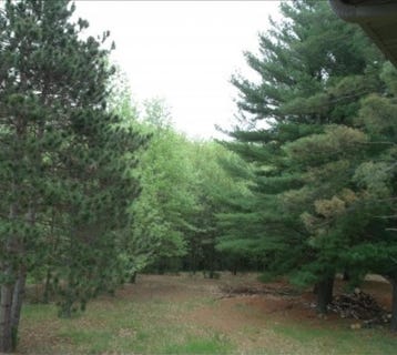 /international/us/n2759-ona-pines-road-weyauwega-wi-110100124180/?lang=zh-tw