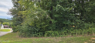 /international/us/sugar-maple-court-lot-1-madisonville-tn-110110297699/