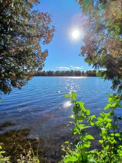 /international/us/2625-river-bluff-drive-alpena-mi-110110404699/