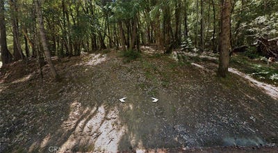 /international/us/24937-clover-willits-ca-110105857410/
