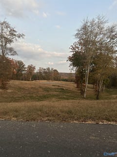 /international/us/6214-thompson-drive-altoona-al-110095691784/