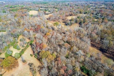 /international/us/brewer-road-lot-1-batesville-ms-110106157160/