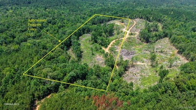 /international/us/golden-road-thomasville-al-110109028548/