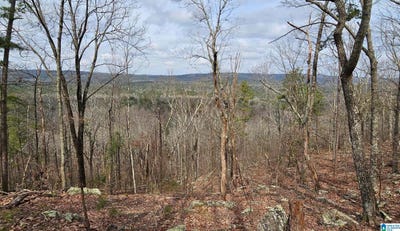 /international/us/438-stonegate-drive-lot-64-63-birmingham-al-110102877211/
