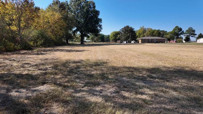 /international/us/main-street-beedeville-ar-110110256885/