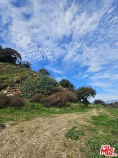 /international/us/0-newcomb-dr-sherman-oaks-ca-110101224250/?lang=zh-cn