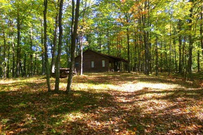 /international/us/7299-dads-lake-rd-eagle-river-wi-110102523085/