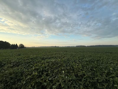 /international/us/265th-avenue-belle-plaine-mn-110107960978/