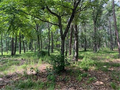 /international/us/tbd-clearwater-road-baxter-mn-110100353098/