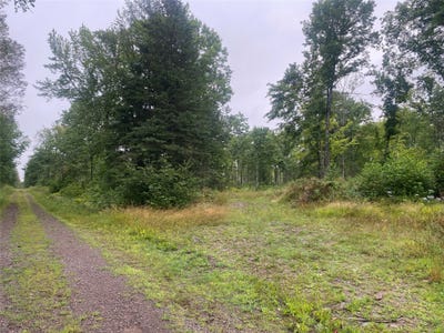 /international/us/on-doland-road-loretta-wi-110106920778/
