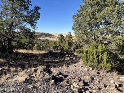 /international/us/tbd-s-skyline-drive-eagar-az-110095355535/