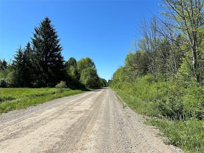 /international/us/townline-road-angelica-ny-110108747796/