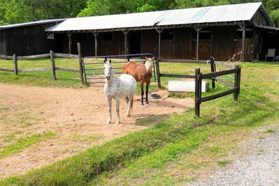 /international/us/536-brookhaven-road-statesville-nc-110099303272/