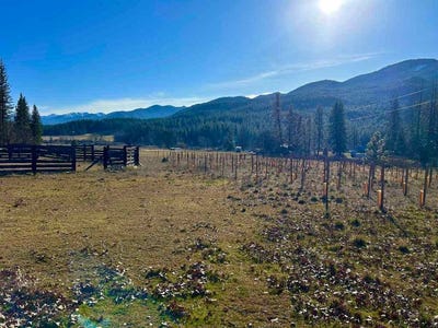 /international/us/meamber-creek-road-fort-jones-ca-110110148337/