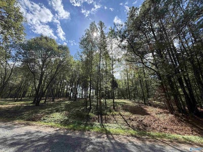 /international/us/-1a-county-road-1123-vinemont-al-110103233581/