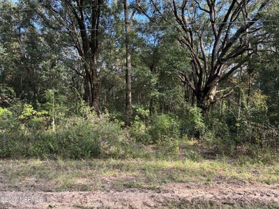 /international/us/debra-circle-interlachen-fl-110120412895/