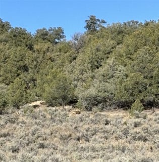 /international/us/talavera-unit-4-lot-40-tierra-amarilla-nm-110095827158/?lang=zh-tw