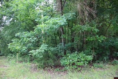 /international/us/001-09520-000-hwy-178-lakeview-ar-110100044019/