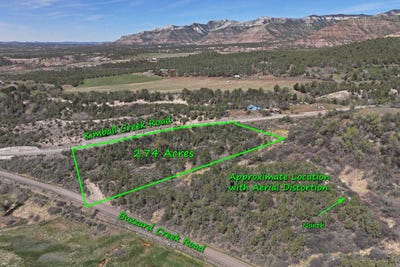 /international/us/58450-buzzard-creek-road-collbran-co-110107734923/