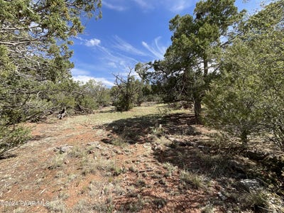 /international/us/lot-162-forest-acres-seligman-az-110100518944/?lang=zh-tw