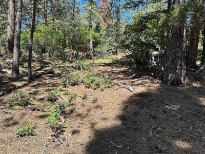 /international/us/lot-1195-chino-terrace-angel-fire-nm-110083520846/