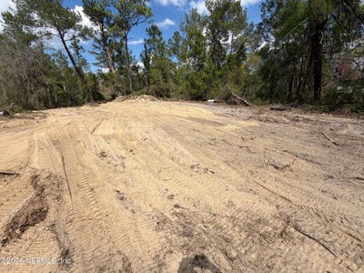/international/us/110-lincoln-street-satsuma-fl-110107257536/