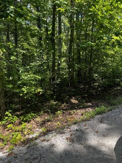 /international/us/0-ryan-road-wellington-ky-110101047116/