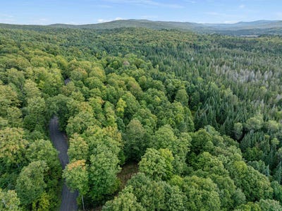 /international/us/wood-yard-crossing-lot-6-pittsburg-nh-110120549971/