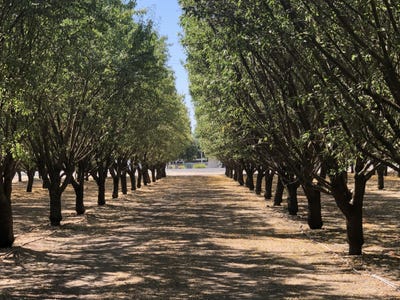 /international/us/w-marinette-avenue-exeter-ca-110102469789/