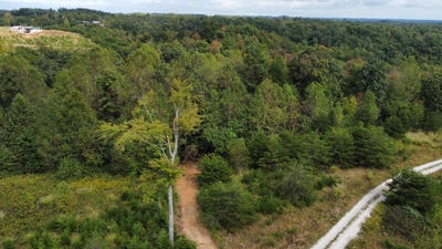 /international/us/lot-68-shawnee-run-development-rogers-ky-110095123046/?lang=en