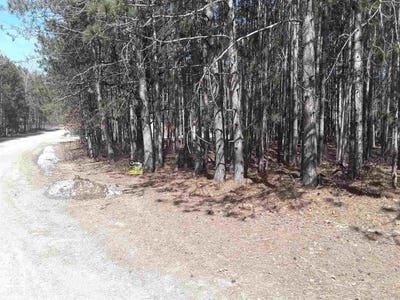 /international/us/12380-pine-mesa-drive-stanwood-mi-110120027513/