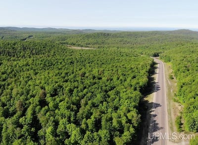 /international/us/tbd359-aaa-road-big-bay-mi-110104149174/