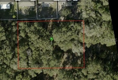 /international/us/ivy-avenue-deland-fl-110120537210/