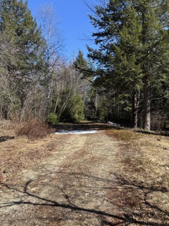 /international/us/2-bog-brook-loop-west-paris-me-110107401467/