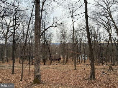 /international/us/warblers-way-berkeley-springs-wv-110106552534/